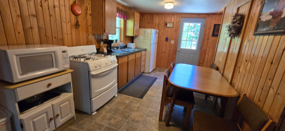 Cozy cabin kitchen with wood paneling and dining area
