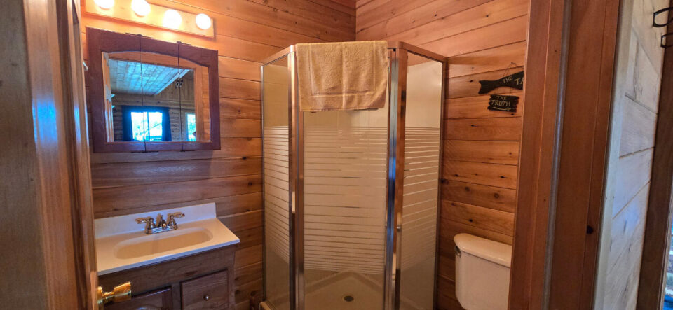 Rustic log cabin bathroom with glass shower and wood walls
