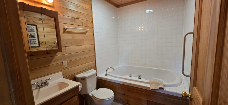 Rustic cabin bathroom with soaking tub and wood paneling
