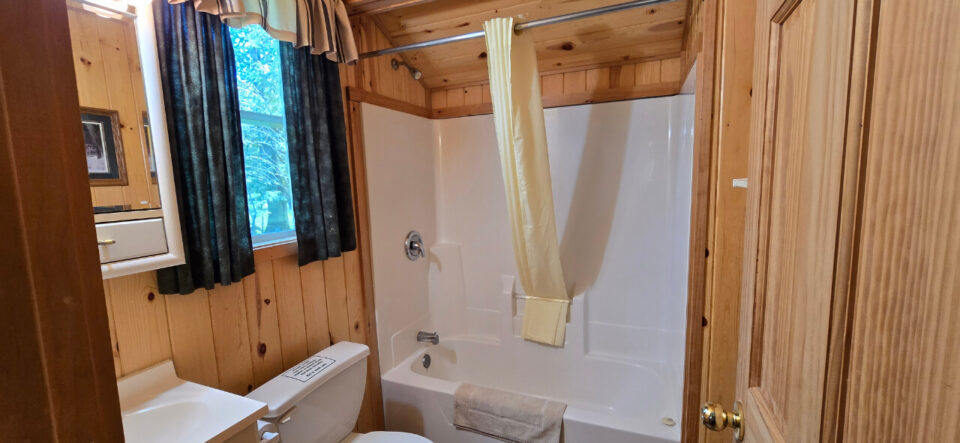 Rustic cabin bathroom with wood paneling and shower tub